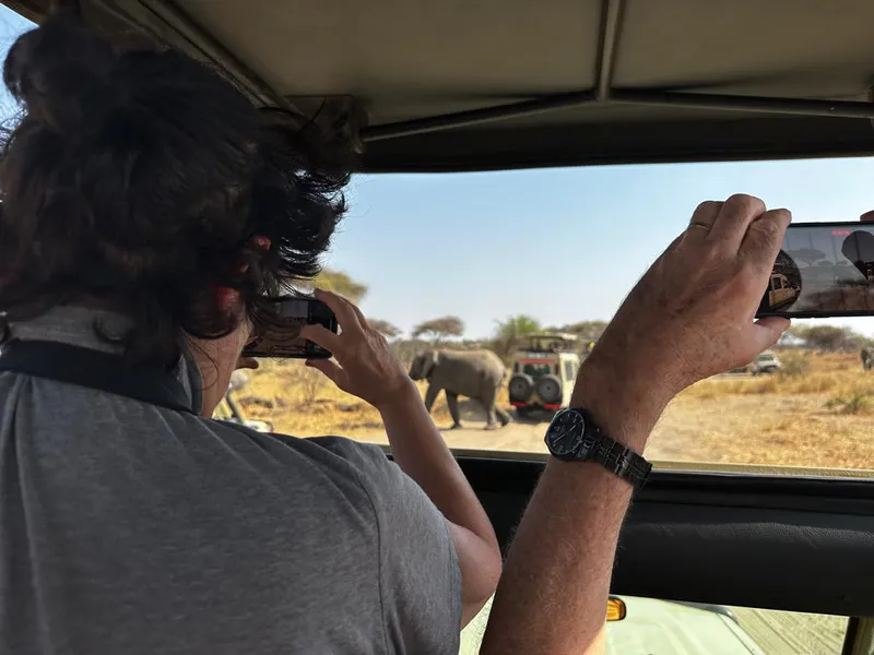 7 Days of Wildlife Wonders: From Tarangire’s Giants to the Endless Serengeti Plains