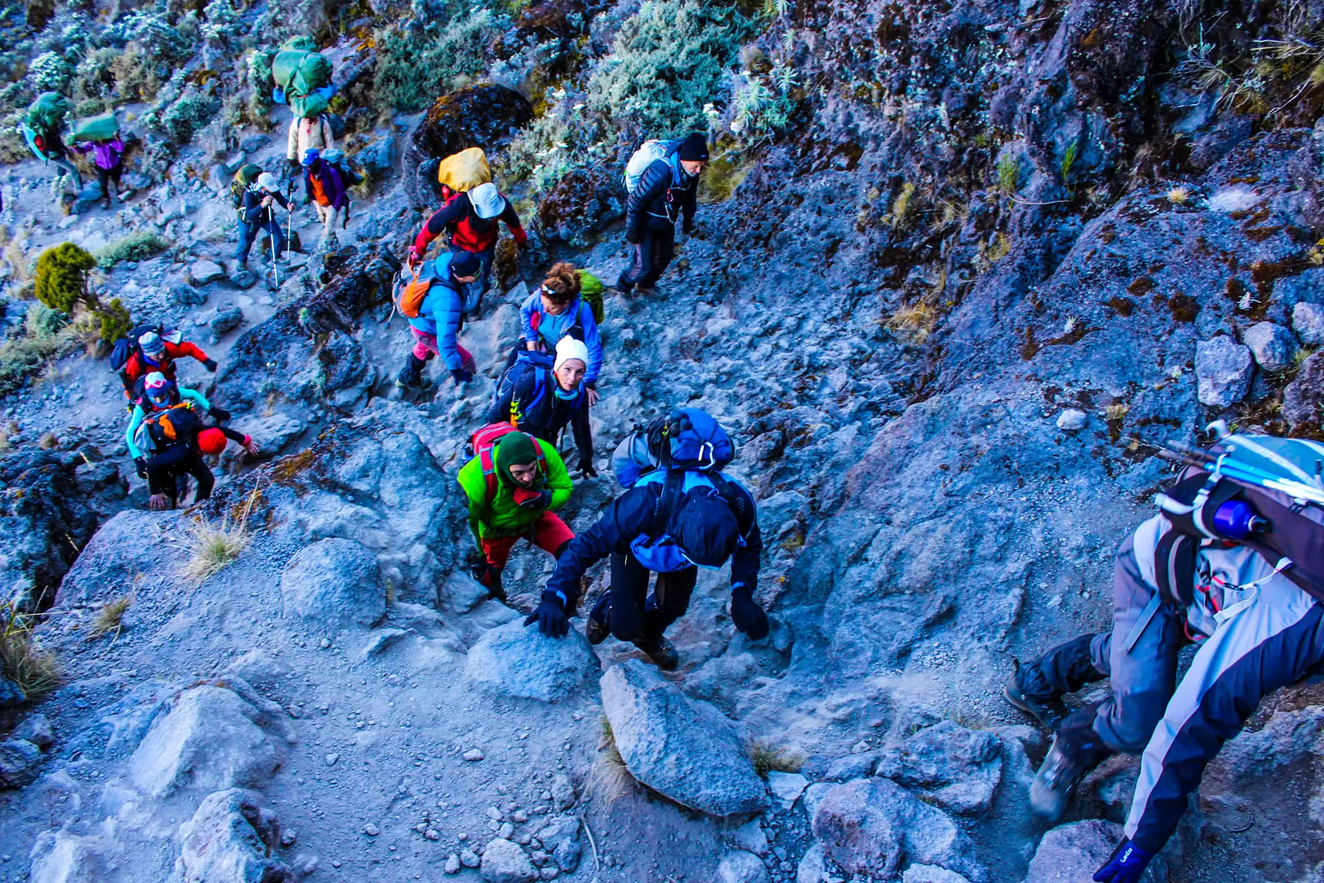 6 Days Umbwe Route: Kilimanjaro Climbing