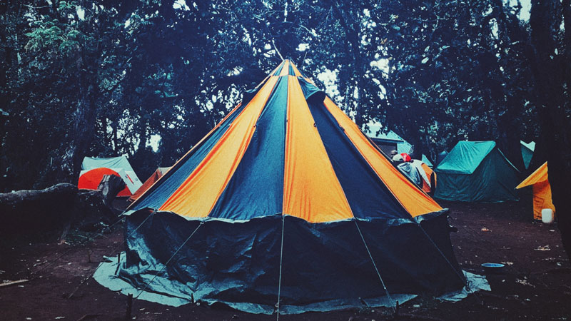Forest/Mti Mkubwa Camp