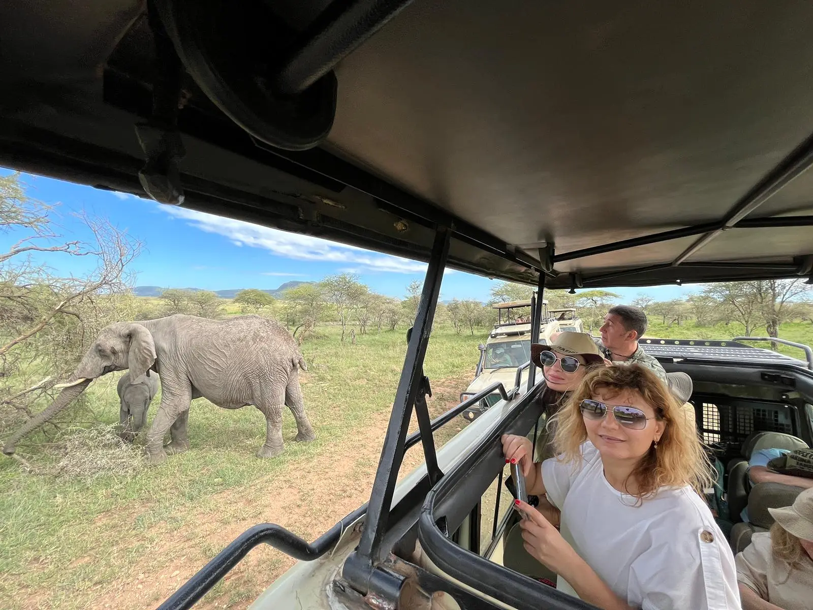 4-Day Tarangire, Ngorongoro, Serengeti & Mto Wa Mbu Tour