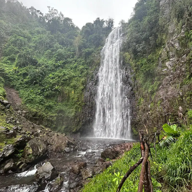 Day Trip in Materuni Waterfalls