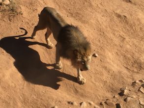 5-Day Etosha National Park.