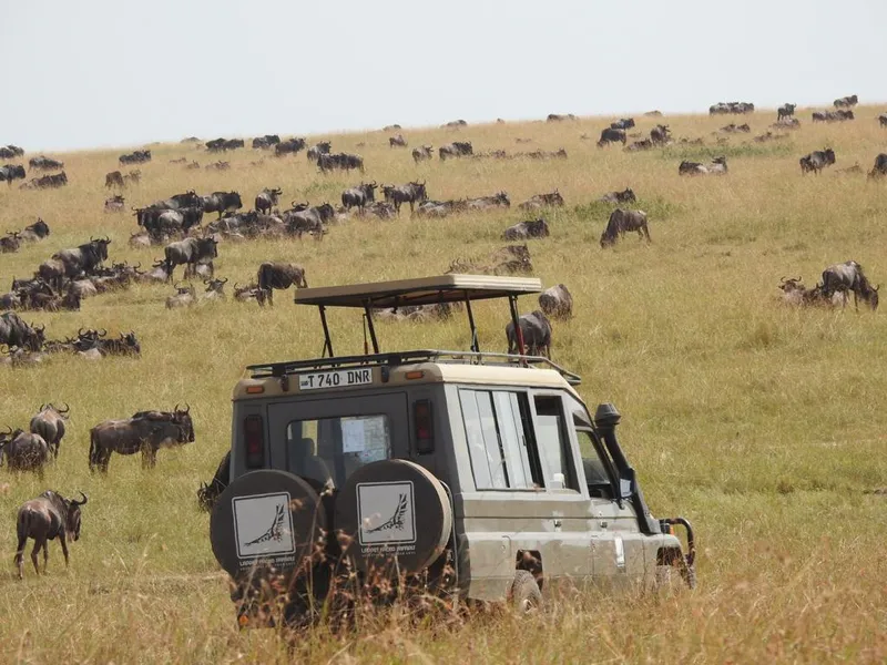 7-Day Journey of the Wildebeest