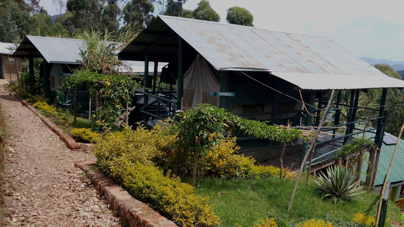 Gorilla Friends Resort Lodge