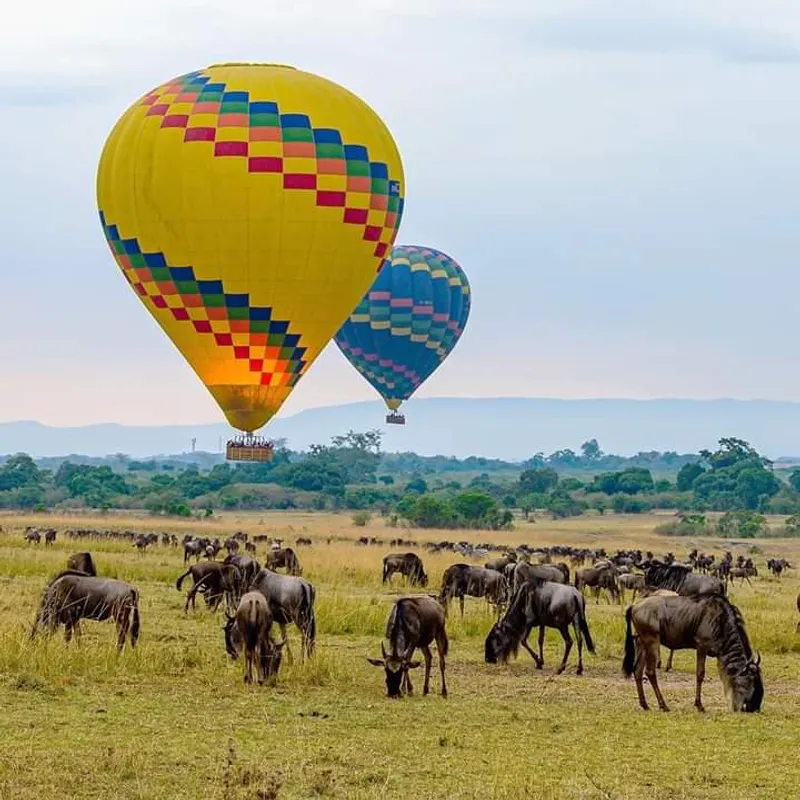 7-Day Serengeti Great Migration Safari-Calvin season
