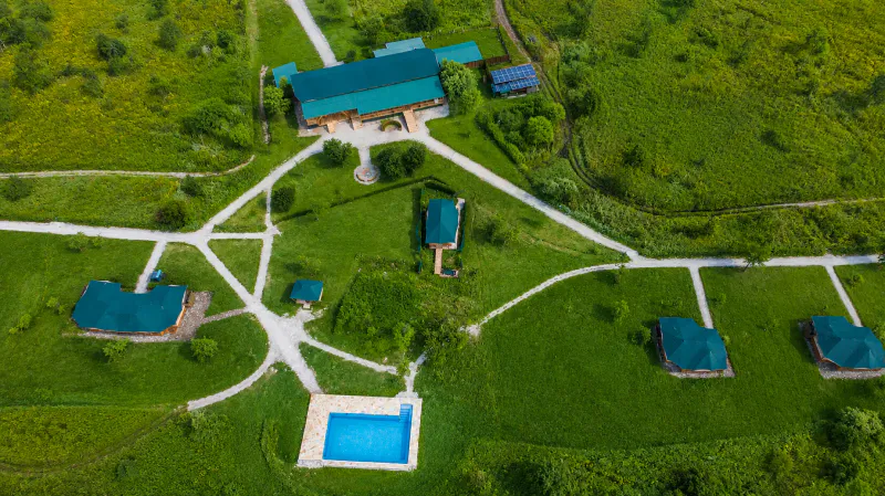 5 Days Exclusive Big Five Luxury Safari to Tanzania