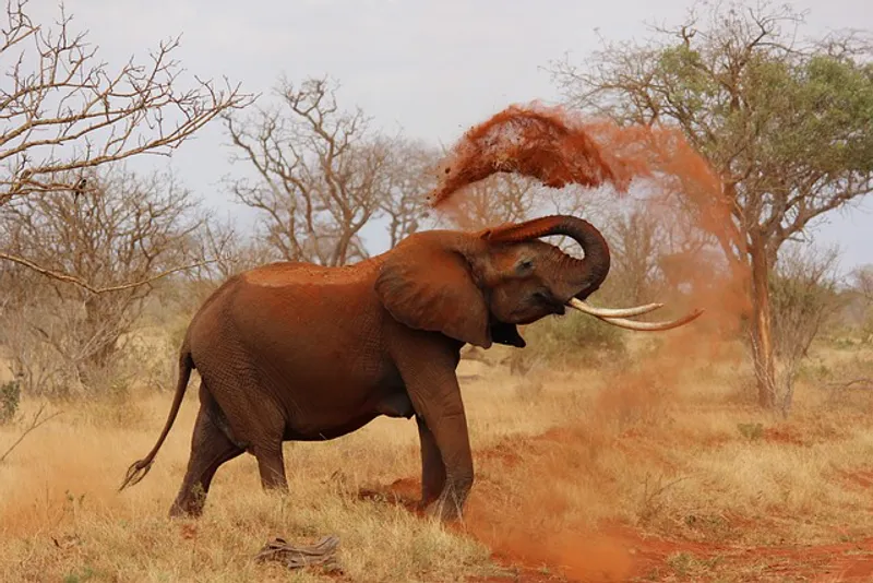 2Days_1Night Fly in Zanzibar Tarangire & Ngorongoro