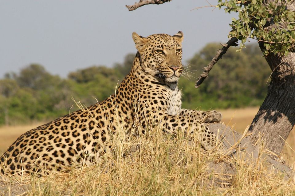 3 Days Masai Mara Safari – All-Inclusive Adventure from Nairobi
