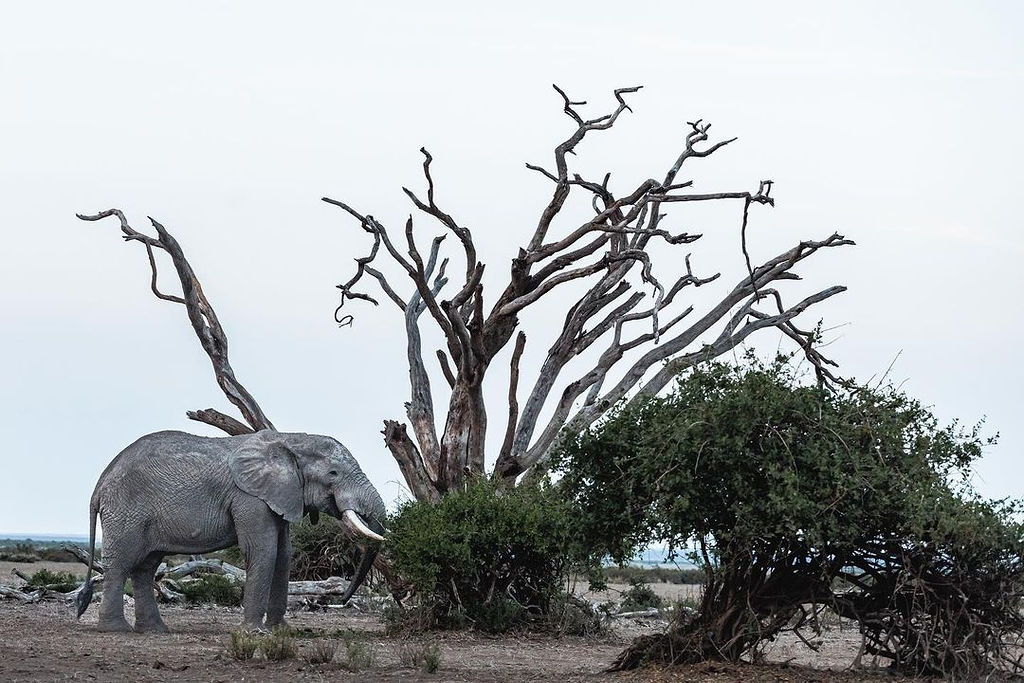 6 days unforgettable Trip Explore the Beauity of Tanzania