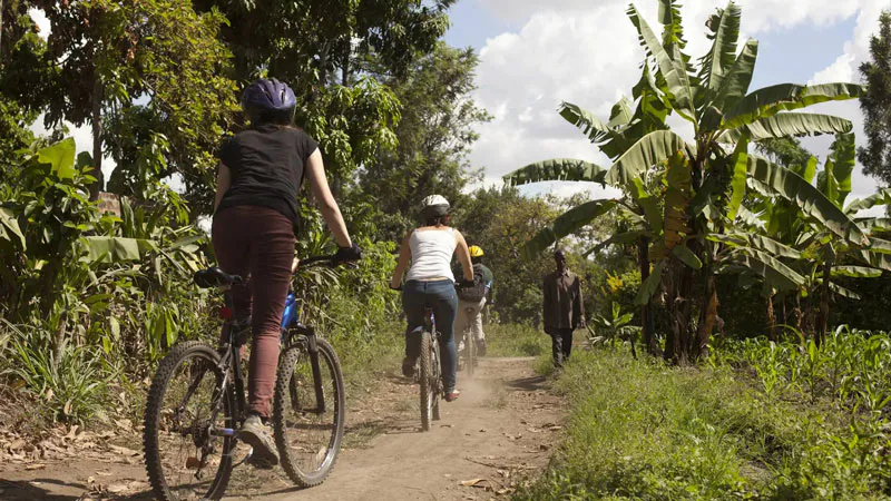 8-Day Biking Safari