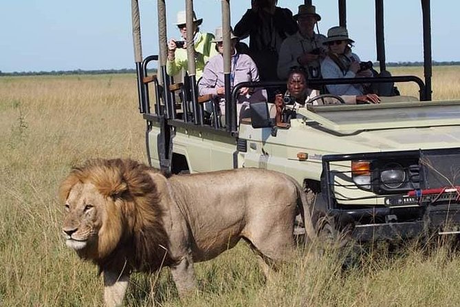 MIKUMI DAY TRIP: 4X4 SAFARI FROM DAR ES SALAAM