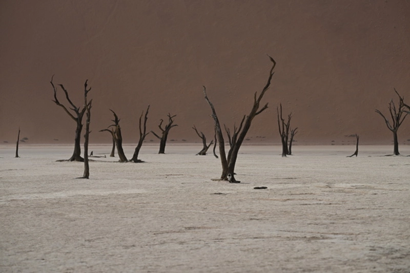 8-Day Classic Namibia Safari