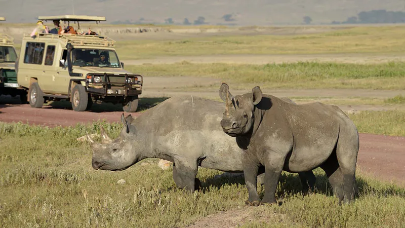 2 Day Zanzibar to Ngorongoro Crater and Tarangire Luxury Safari