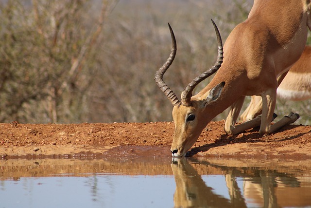 3 Days Tanzania lodge safari