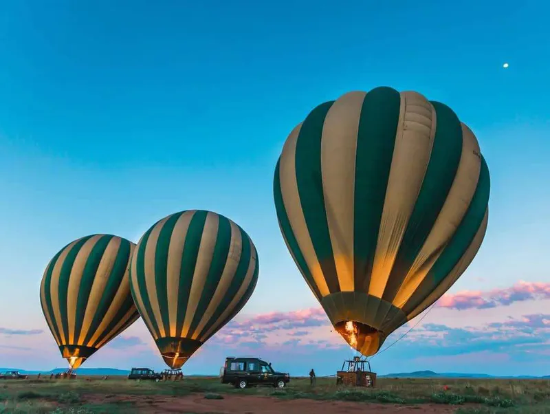 7 Days The Great Serengeti Migration Safari - High End