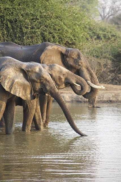 10 Day Safari & Cultural Experience in Tanzania
