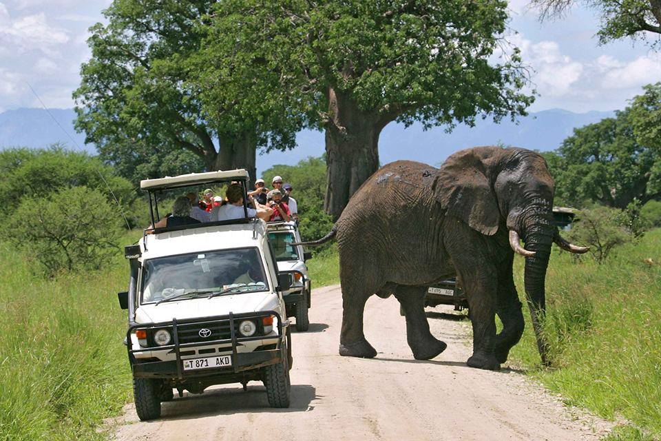 12 Days Tanzania Unforgettable Safari