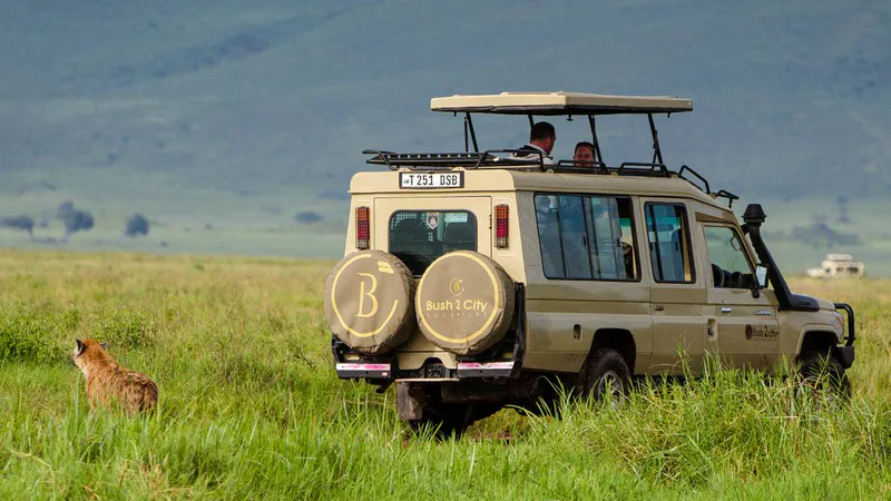 7 Day - Premium Tanzania Luxury Safari Vocation