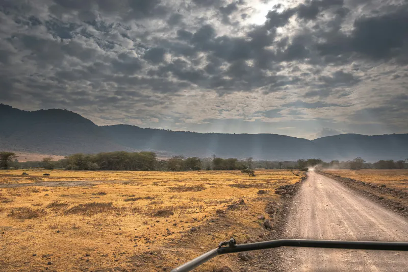 6-Day Tanzanian Safari Where Wildlife Meets Luxury