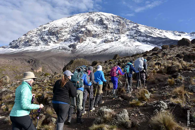 8-Days: Mount Kilimanjaro Machame Route