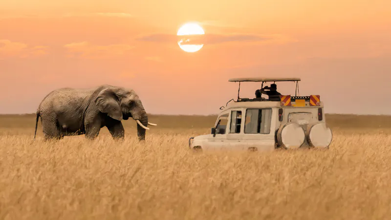 6 Days Midrange Tanzania Safari
