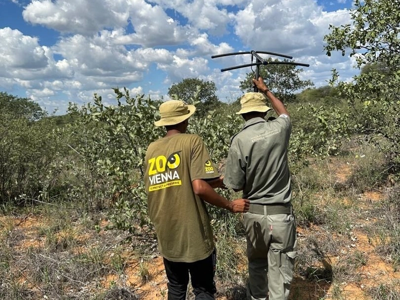 Pangolin Conservation Tour