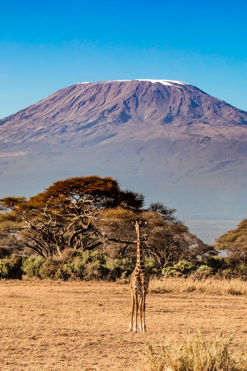 2 DAYS SHORT & SWEET SAFARI