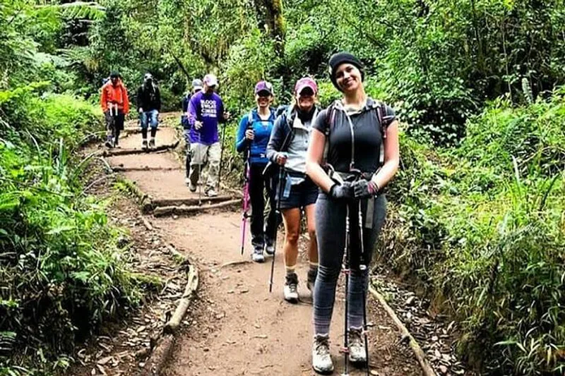 Kilimanjaro Hiking via Marangu route Day Trip