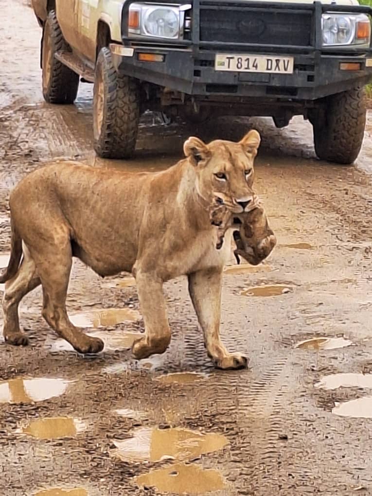 6-Day Northern Circuit National parks Safari.