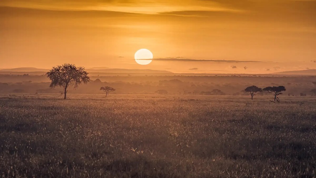 6-Day Tanzania Low Season Safari: Tarangire, Serengeti and Ngorongoro Crater