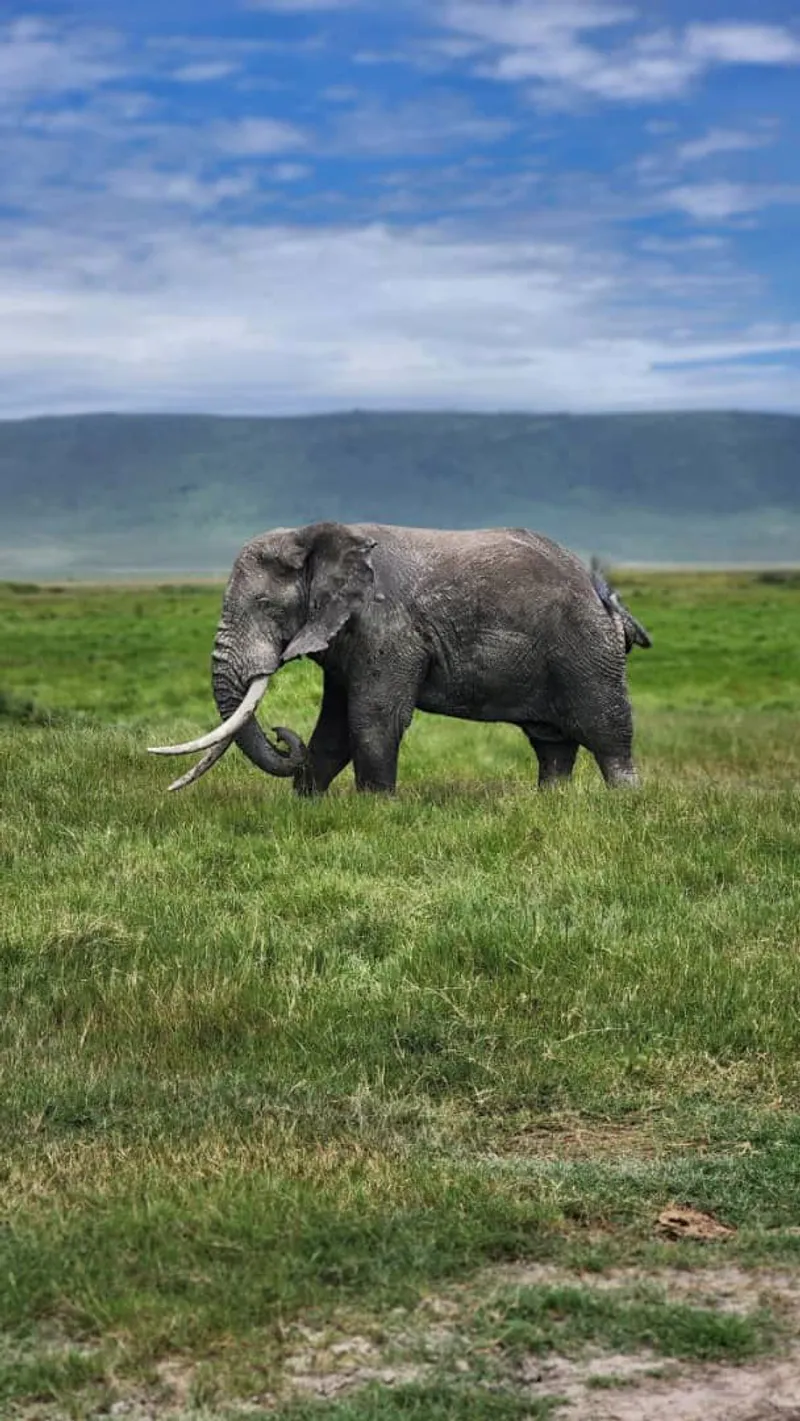 3-Day Tarangire, Lake Manyara and Ngorongoro Crater