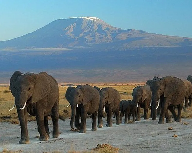 3-Days Amboseli Budget Group Joining Safari