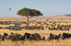 3 Days Maasai Mara Luxury Shared Sfari Experience