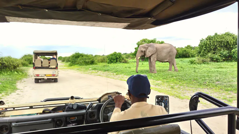 6-Day Hwange National Park, Victoria Falls and Chobe National Park