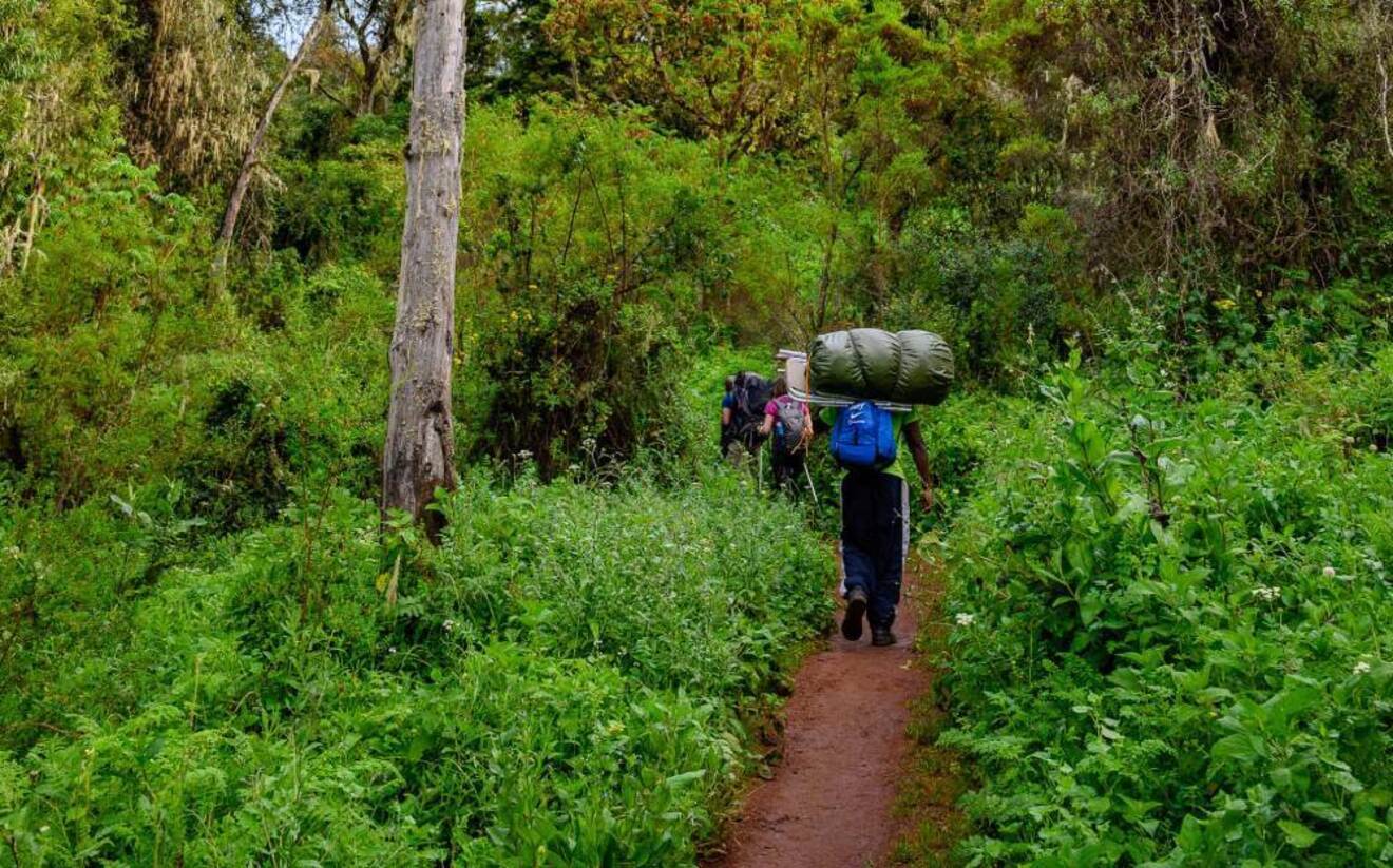6 Days Kilimanjaro Hiking Via Machame Route