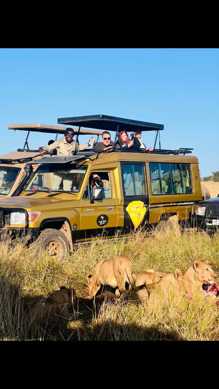 6-Day Tanzania Big Five Safari: Serengeti Lions & Ngorongoro Crater Adventure