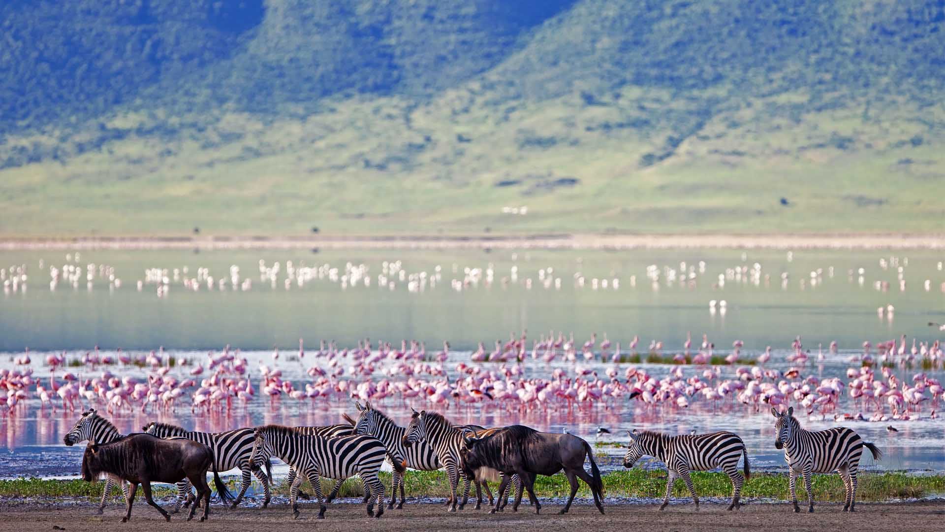 7-Day: Serengeti, Ngorongoro and Zanzibar