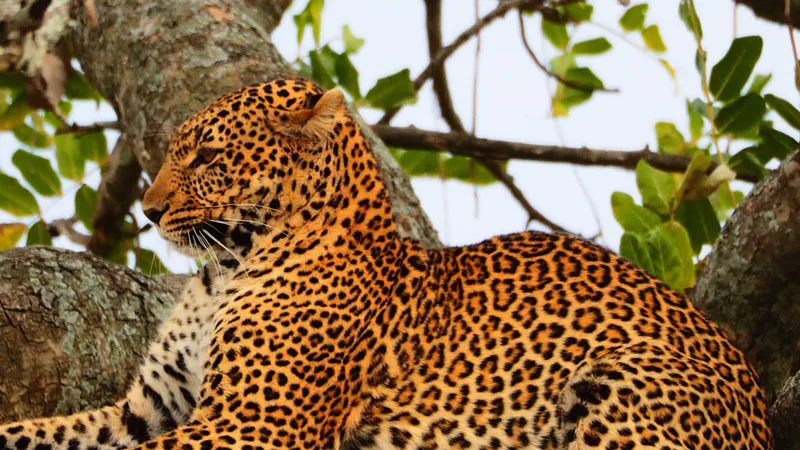 7-Day Explore Wildlife Samburu Masai Mara  Great Rift Valley Lakes
