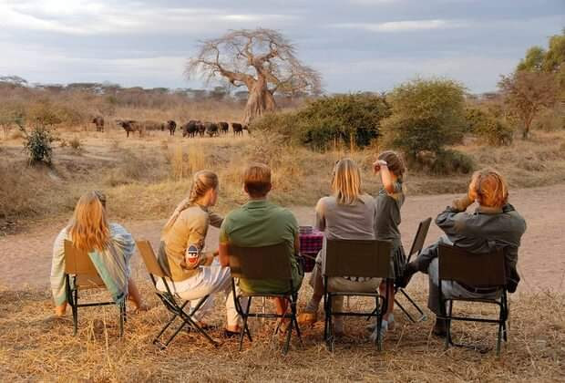 8 Days Tanzania wildlife comfort safari