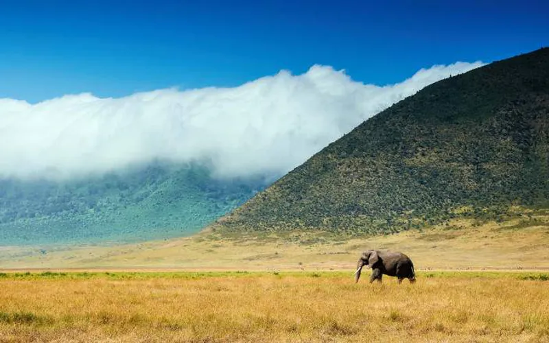 3-Day National Park and Cultural Tour