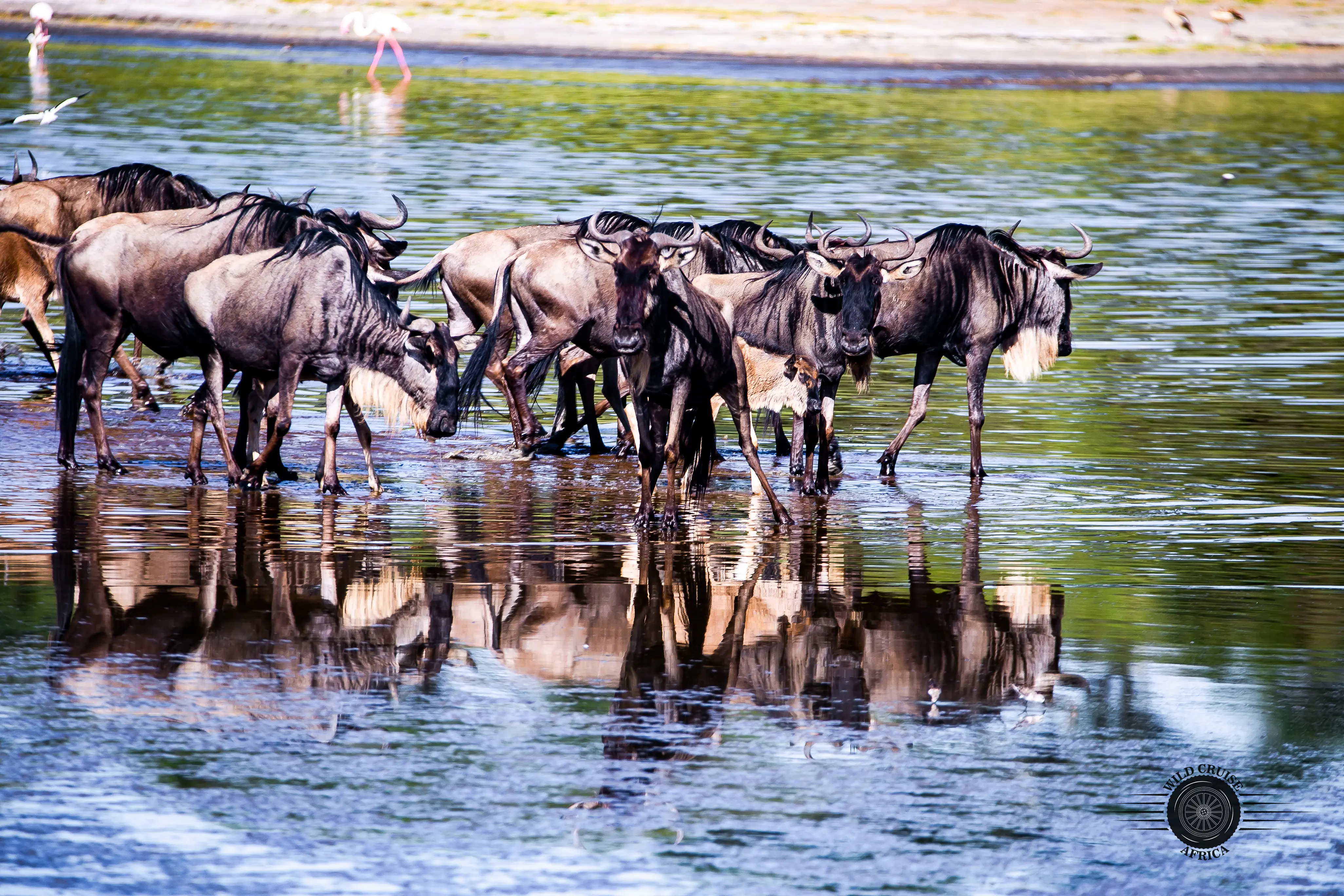 11-Day Culture, Wildlife & Beach Bliss