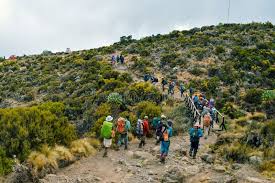 6天乞力马扎罗山登顶探险之旅(马兰古路线)
