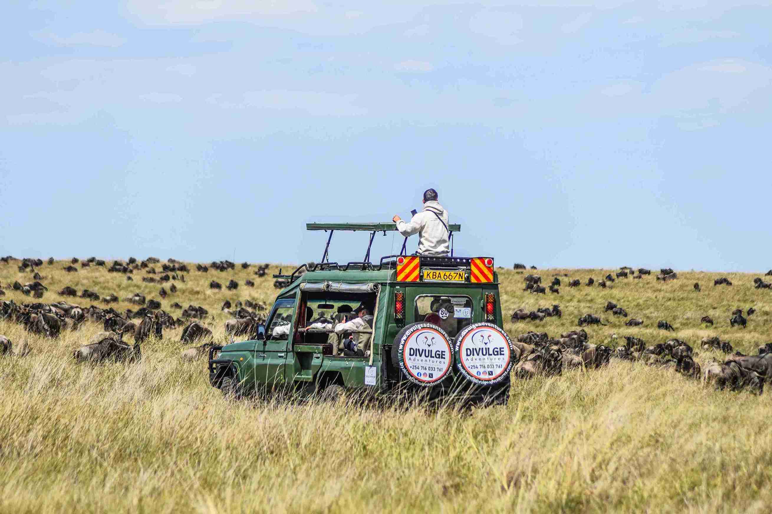 4- Day Lake Nakuru and Masai Mara Classic Budget Safari