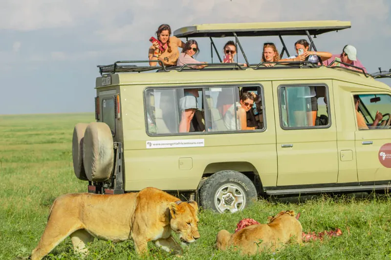 4-Day Serengeti, Ngorongoro Crater and Tarangire Fly-in