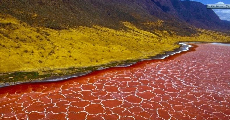 7-DAY NORTHERN CIRCUIT SAFARI & CULTURAL TOUR