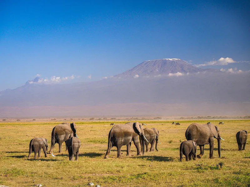 5 Days Kenya Rift Valley Circuit Safari