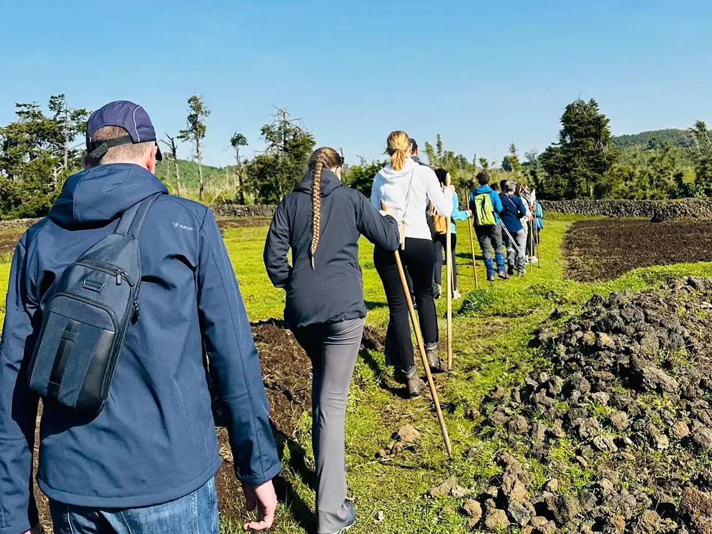 2 Days, Rwanda Gorilla & Golden Monkey trekking experience.