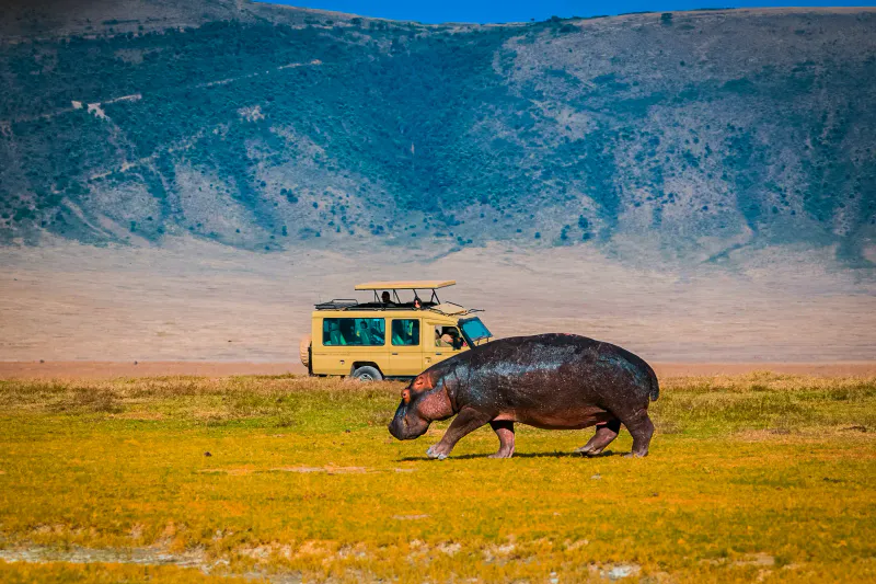 3-Tage-Safari: Serengeti & Ngorongoro – Eine Reise ins Herz Tansanias