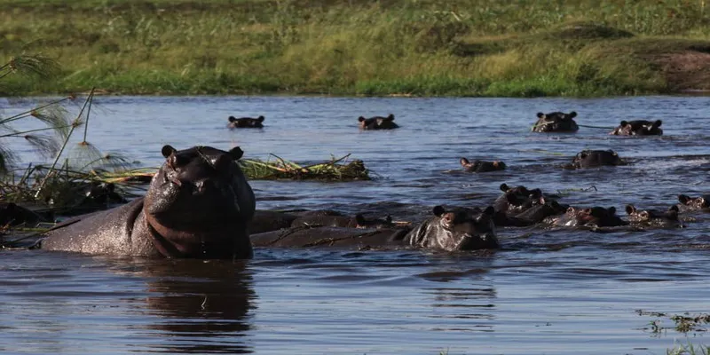 4-days 3 Nights Mokoro Trail