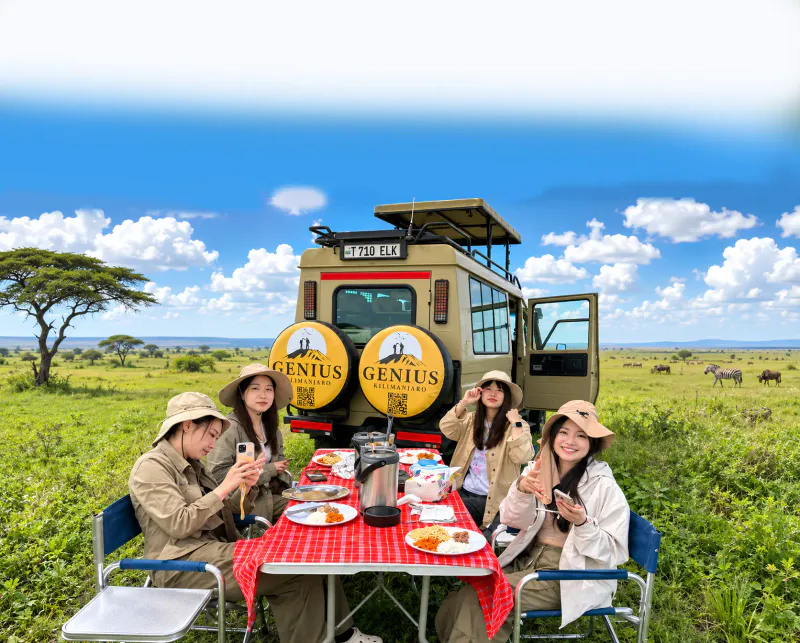 Tanzania Big Five Safari and Culture in 7 Days